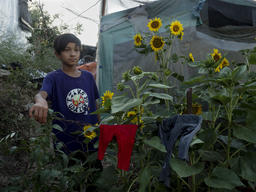 GREECE/2020/Material for EXTERNAL MEDIA